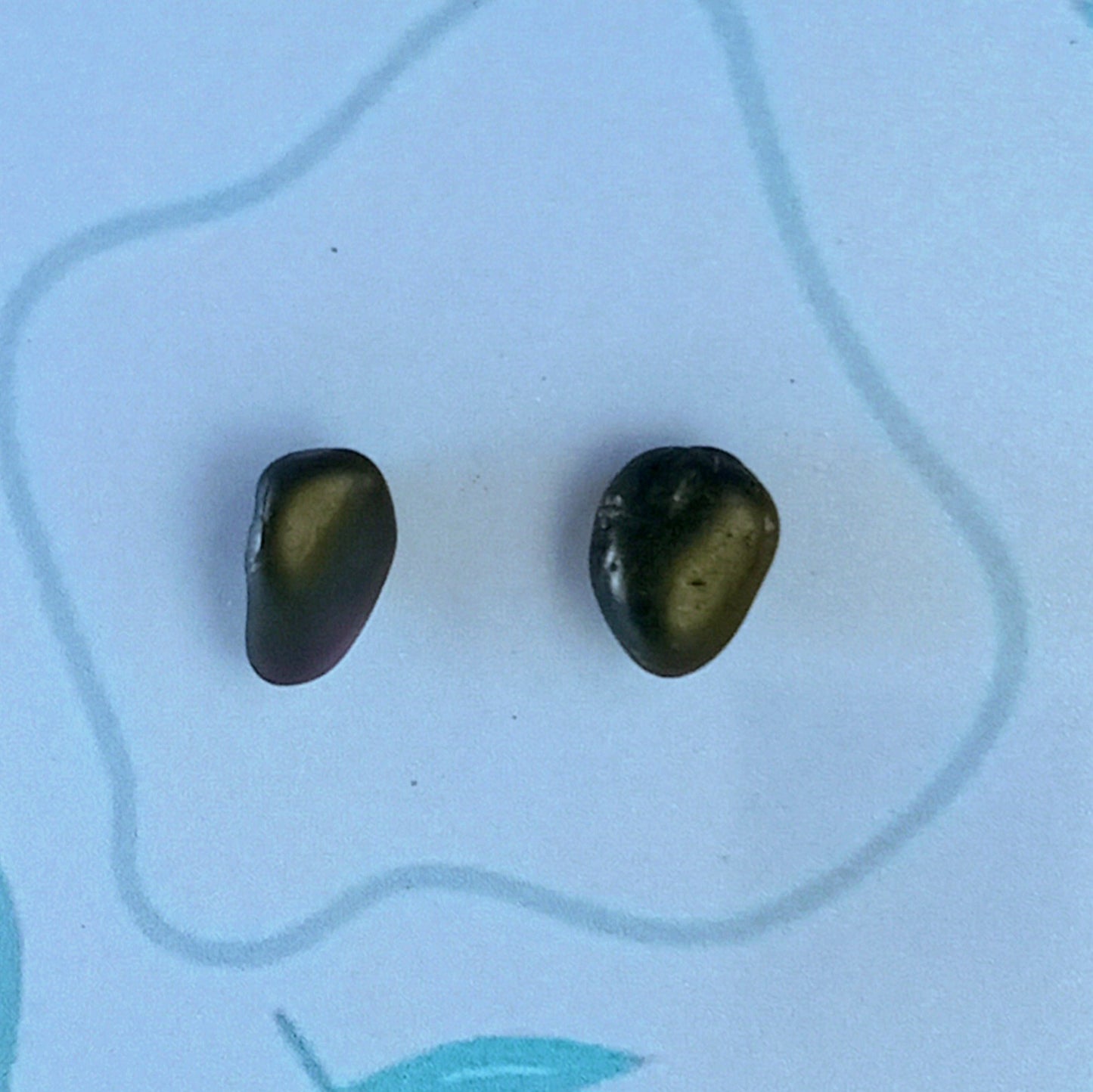 Natural Gem Stud Earrings