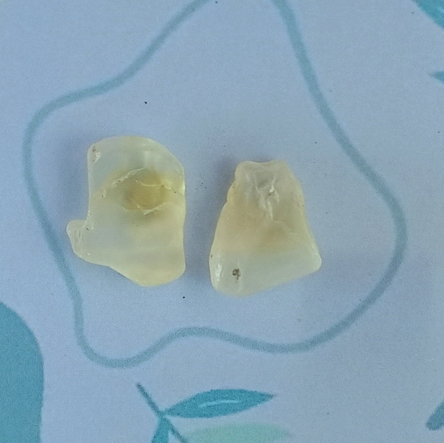 Moonstone Stud Earrings